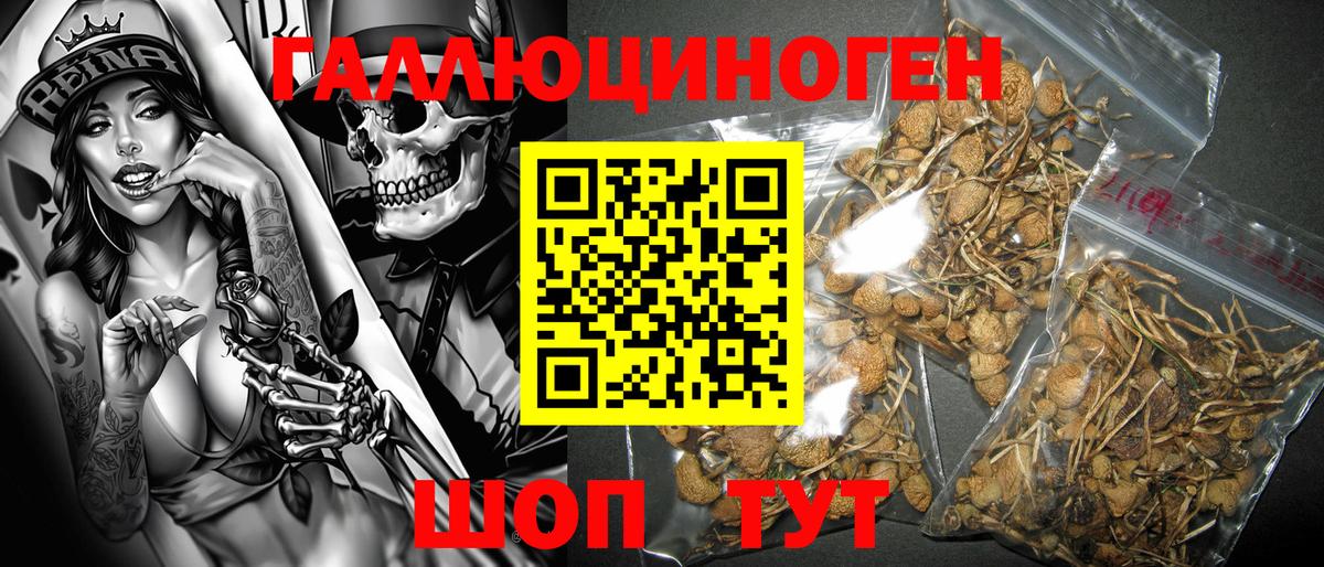 Галлюциногенные грибы Psilocybe  Галлюциногенные грибы Psilocybine cubensis  Вход с VPN  Саяногорск 